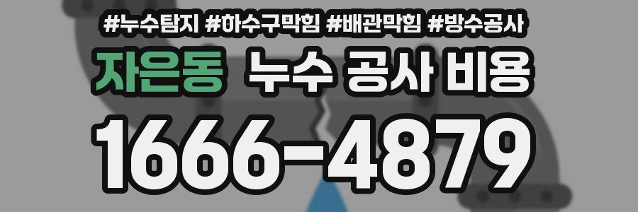 자은동 누수 공사 비용