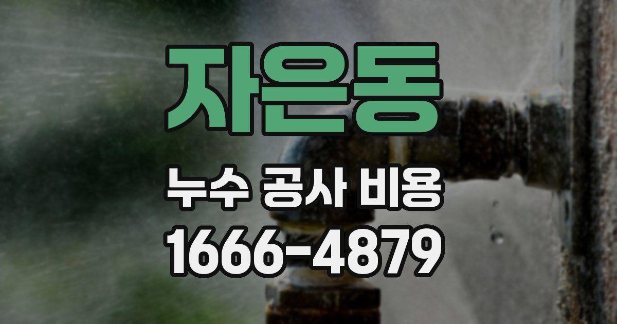 자은동 누수 공사 비용