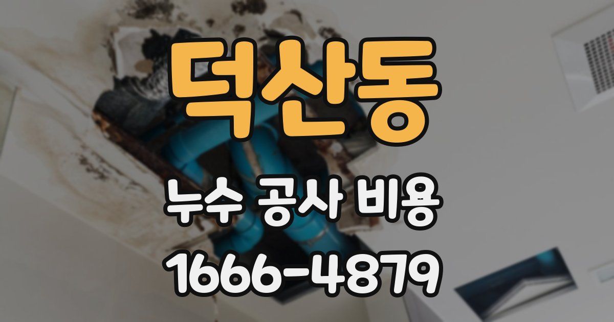 덕산동 누수 공사 비용