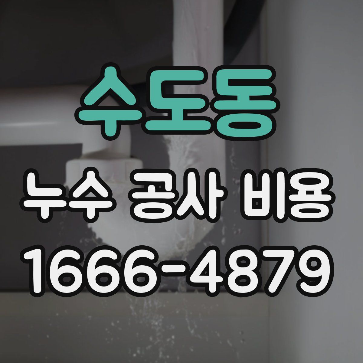 수도동 누수 공사 비용