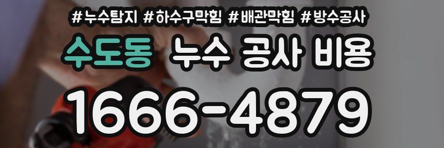 수도동 누수 공사 비용