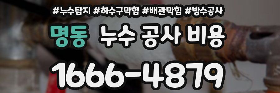 명동 누수 공사 비용
