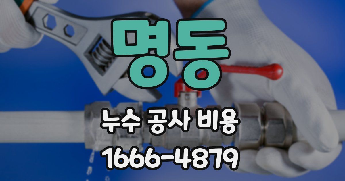 명동 누수 공사 비용