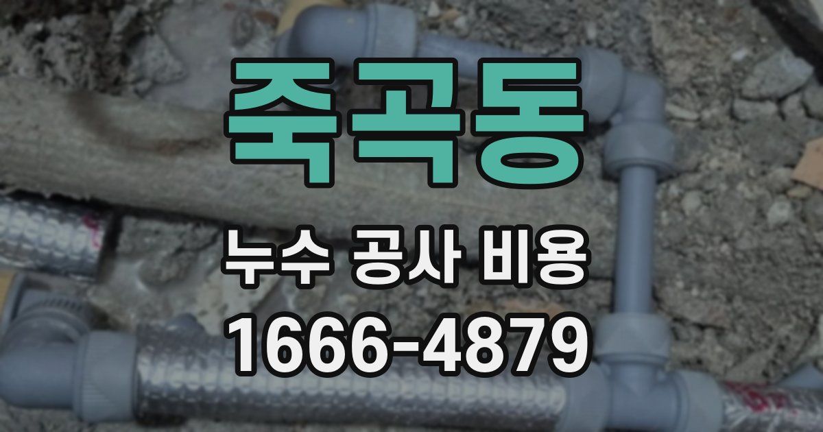죽곡동 누수 공사 비용