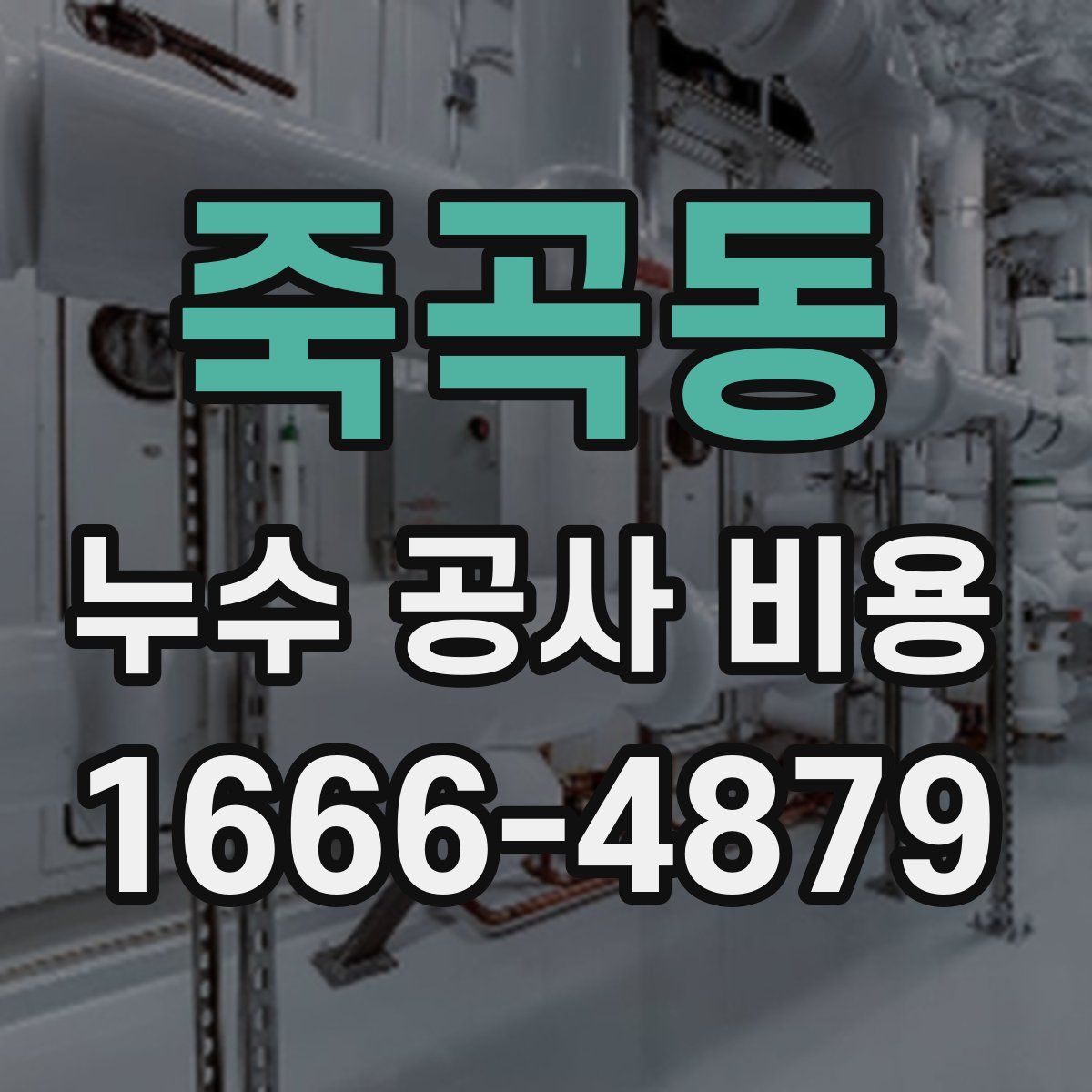 죽곡동 누수 공사 비용