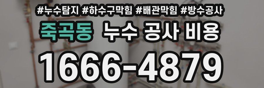 죽곡동 누수 공사 비용