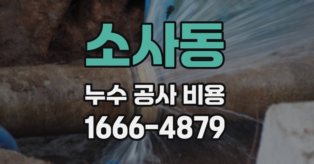 소사동 누수 공사 비용