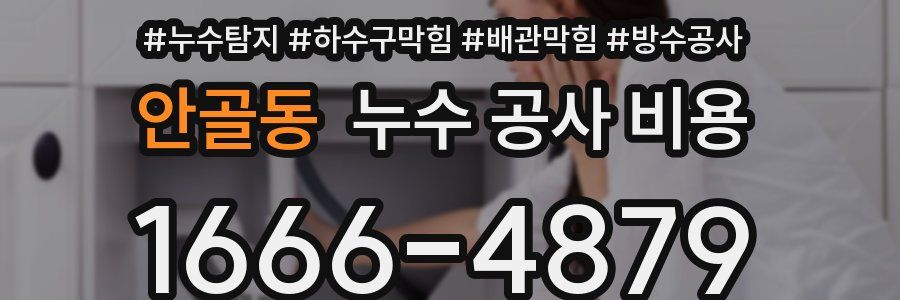 안골동 누수 공사 비용