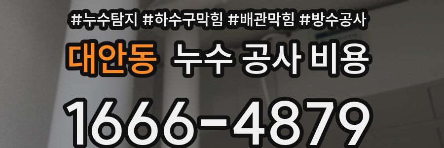 대안동 누수 공사 비용