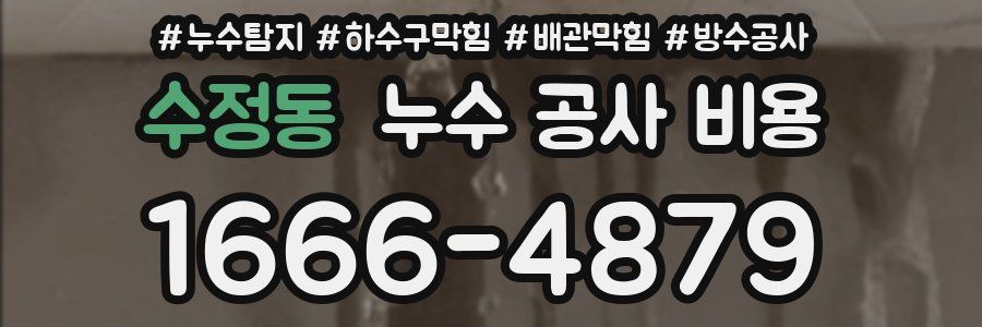 수정동 누수 공사 비용