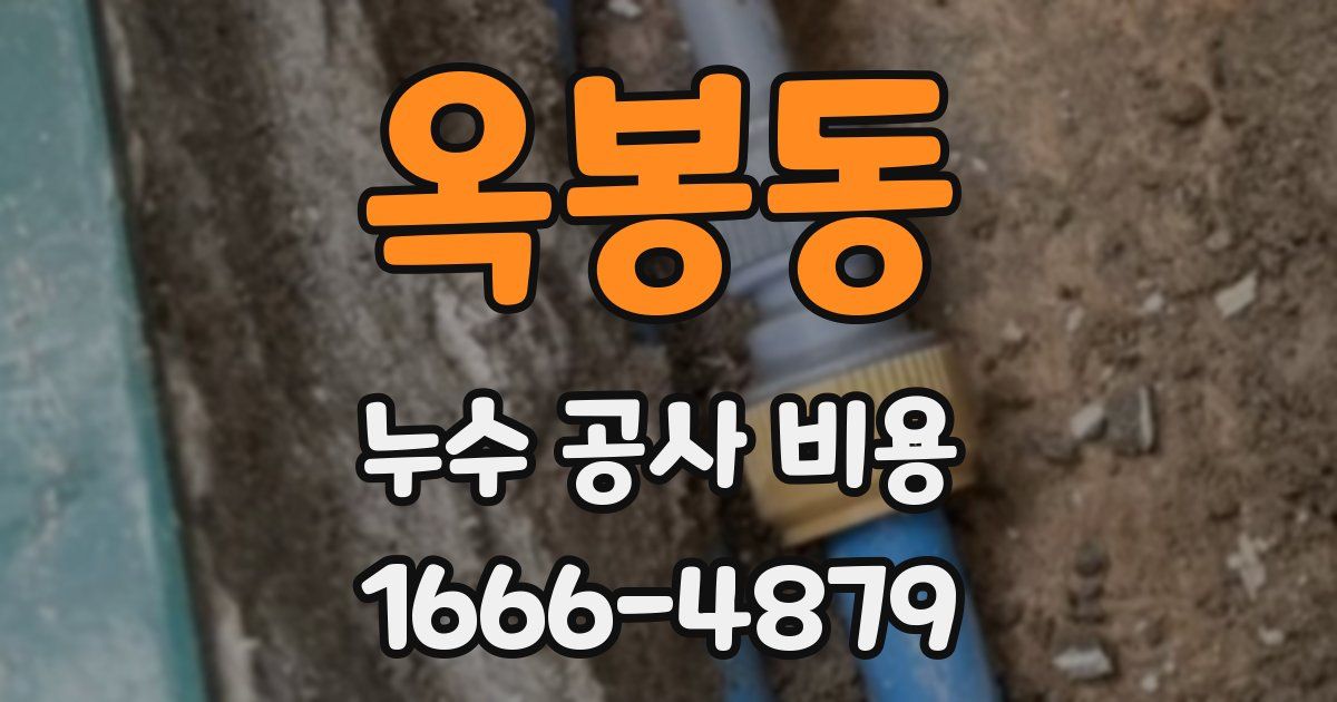 옥봉동 누수 공사 비용