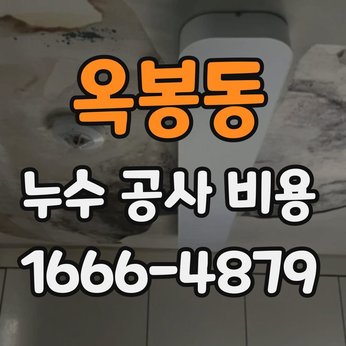 옥봉동 누수 공사 비용