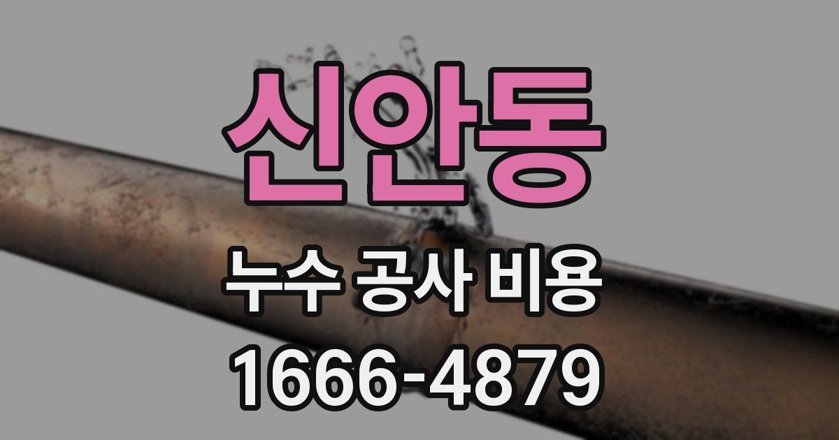 신안동 누수 공사 비용
