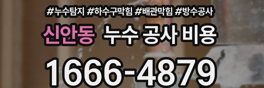 신안동 누수 공사 비용