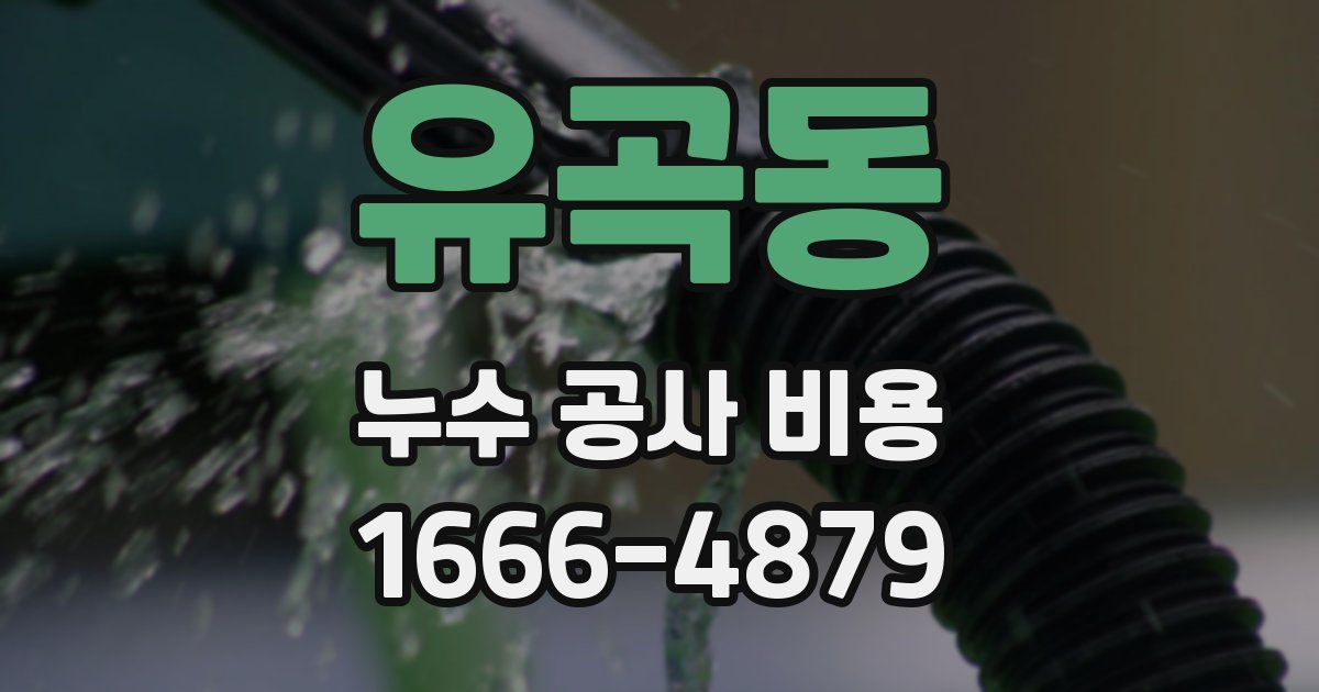유곡동 누수 공사 비용