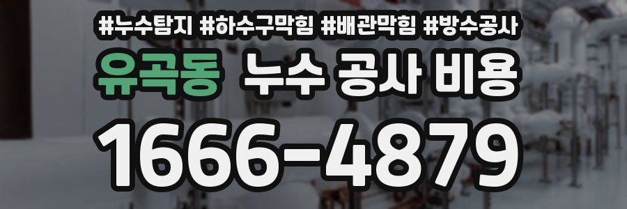 유곡동 누수 공사 비용