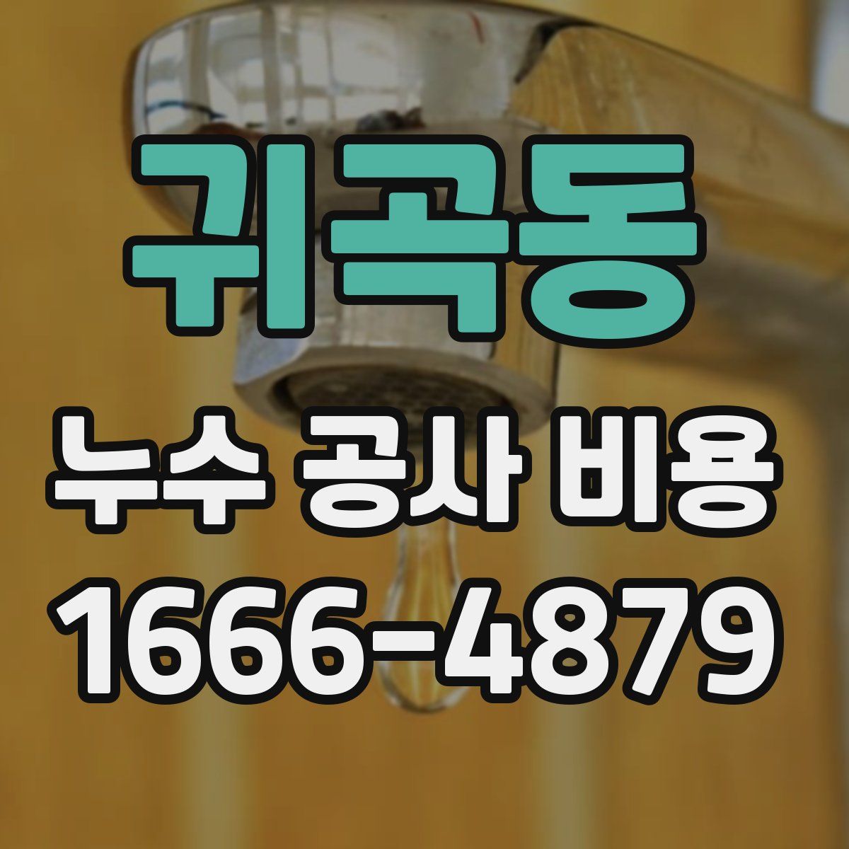 귀곡동 누수 공사 비용