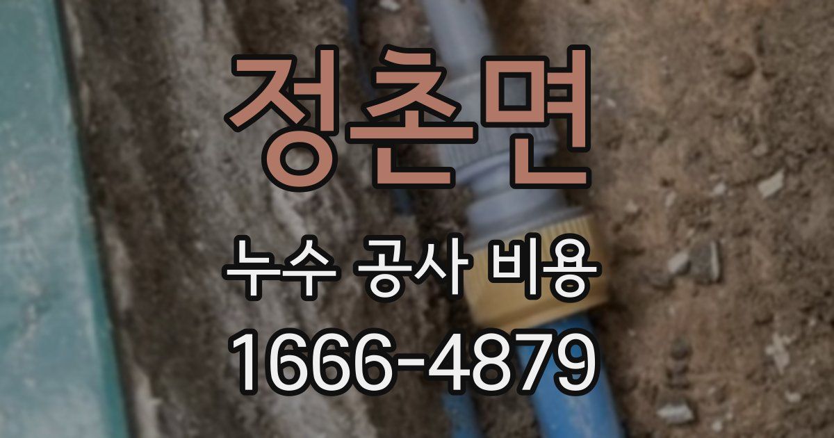 정촌면 누수 공사 비용