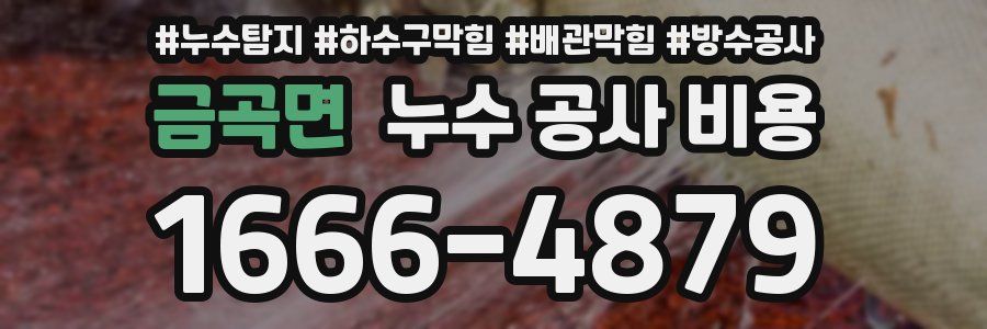 금곡면 누수 공사 비용