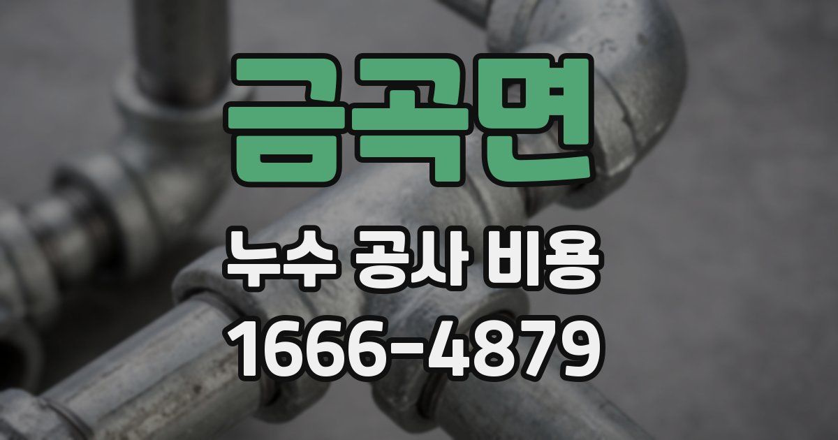 금곡면 누수 공사 비용