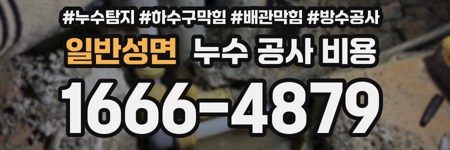 일반성면 누수 공사 비용