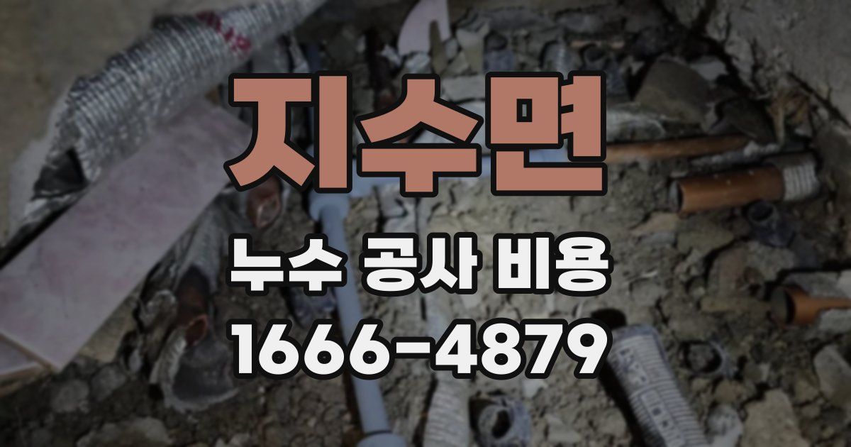 지수면 누수 공사 비용