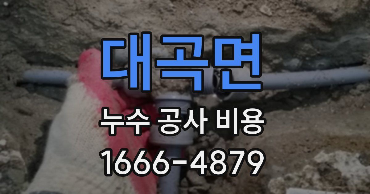 대곡면 누수 공사 비용