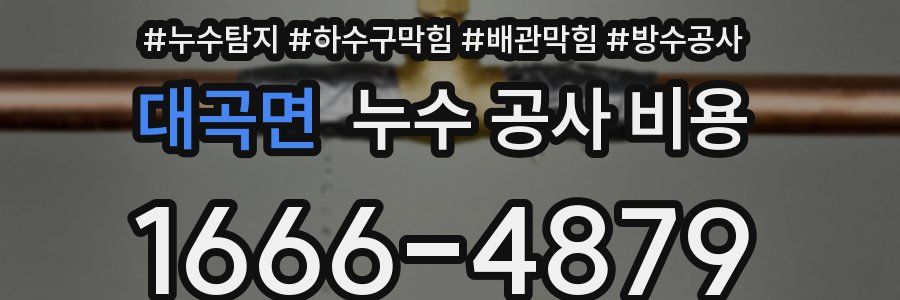 대곡면 누수 공사 비용
