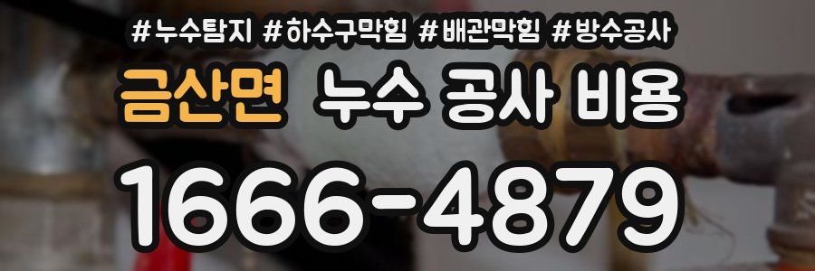 금산면 누수 공사 비용