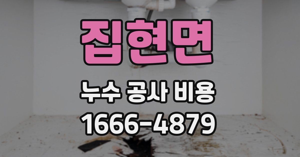 집현면 누수 공사 비용