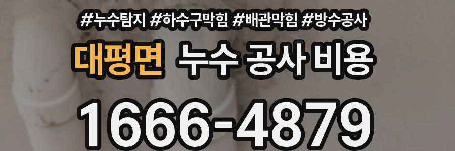 대평면 누수 공사 비용