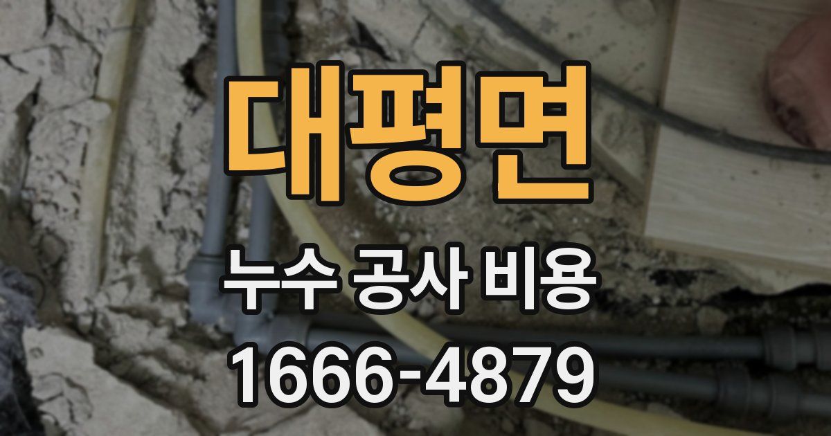 대평면 누수 공사 비용