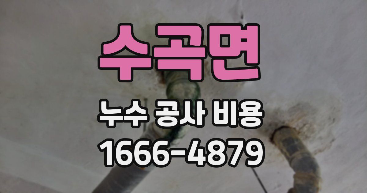 수곡면 누수 공사 비용
