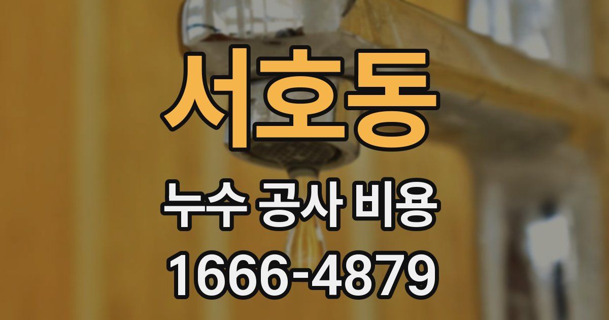 서호동 누수 공사 비용