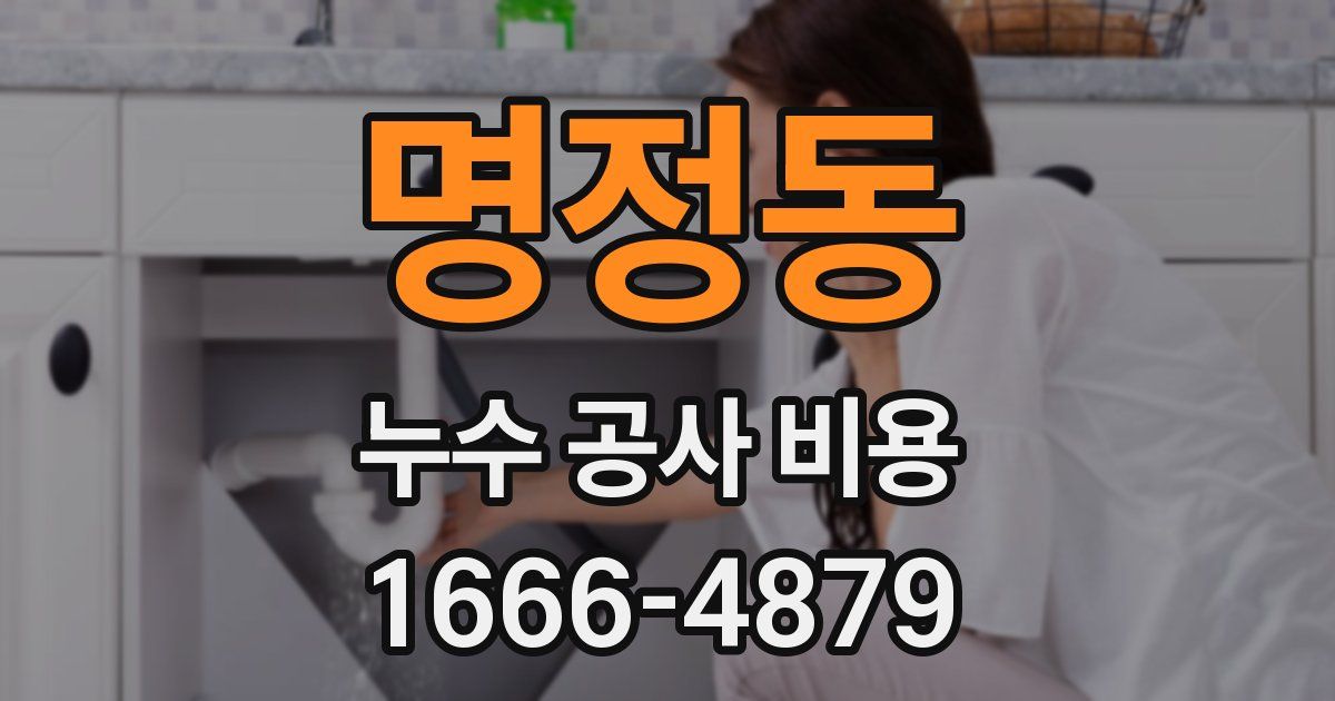 명정동 누수 공사 비용