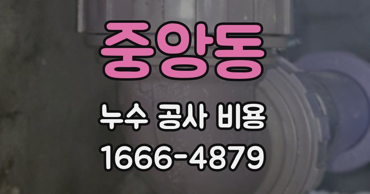 중앙동 누수 공사 비용