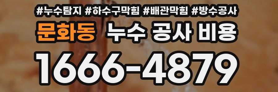 문화동 누수 공사 비용