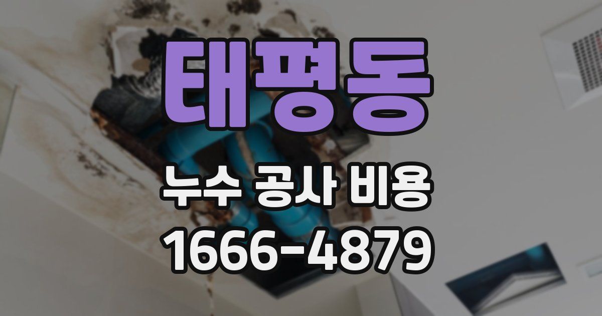 태평동 누수 공사 비용