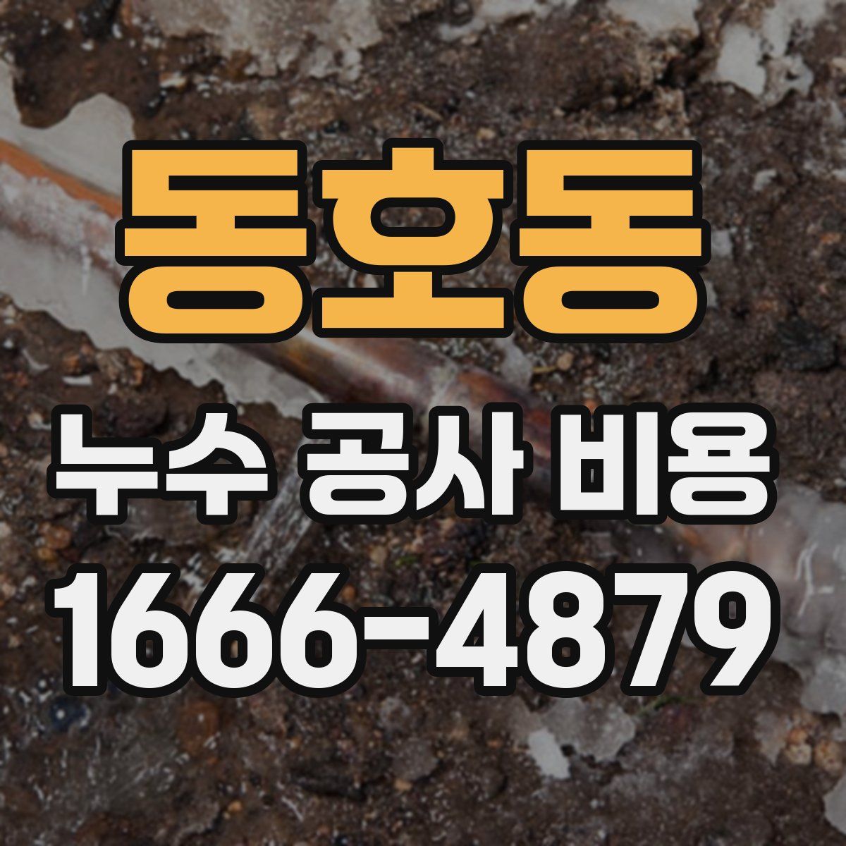 동호동 누수 공사 비용