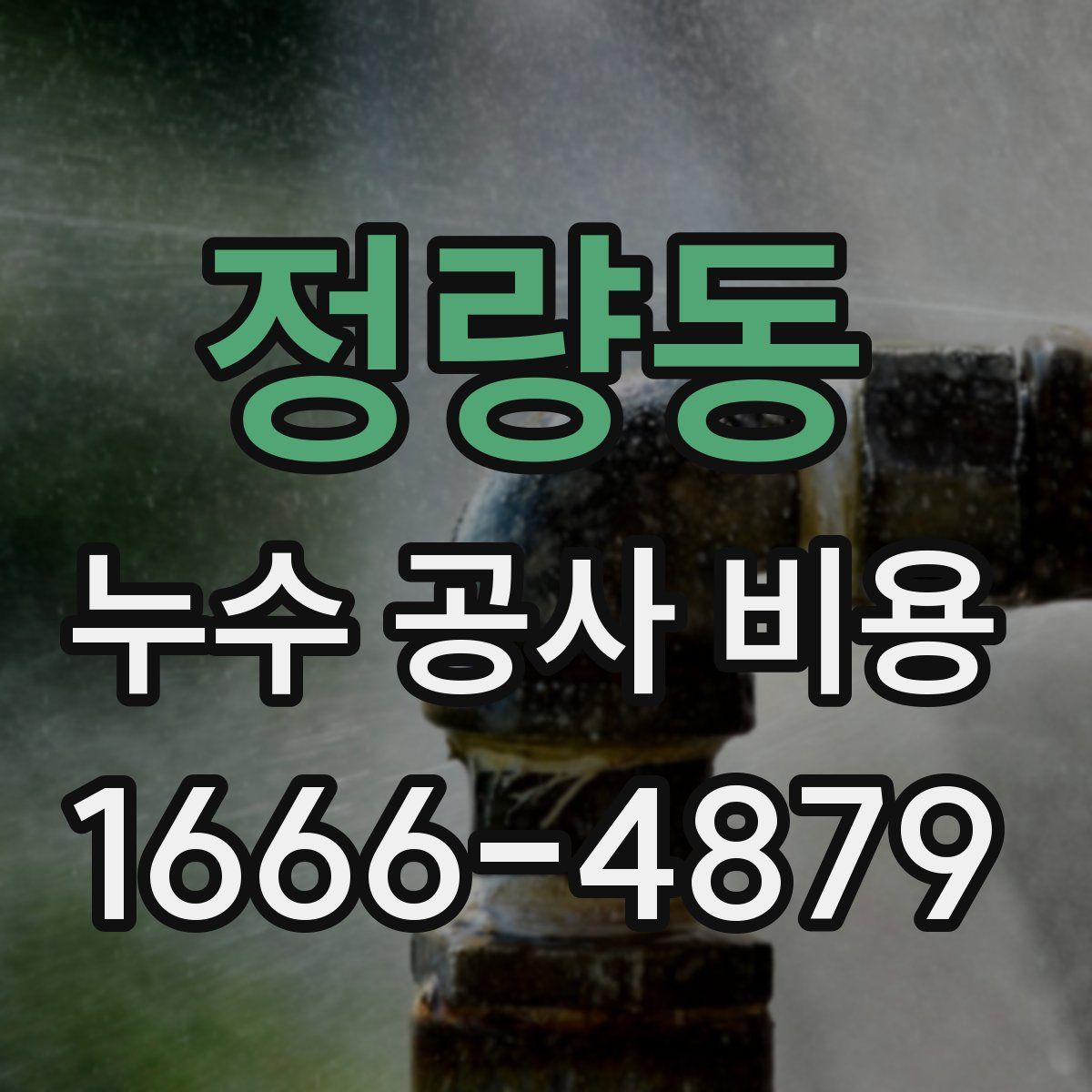 정량동 누수 공사 비용