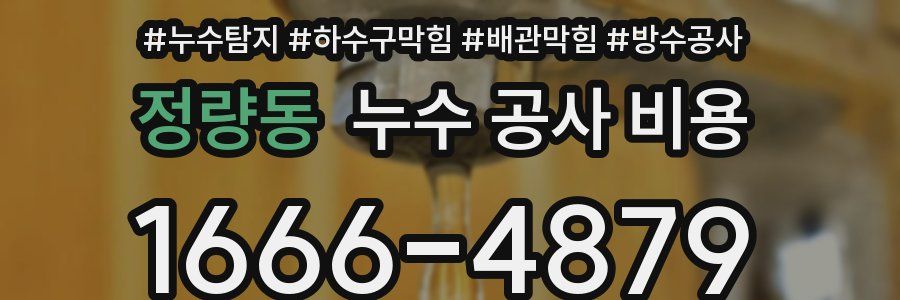 정량동 누수 공사 비용