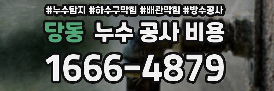 당동 누수 공사 비용