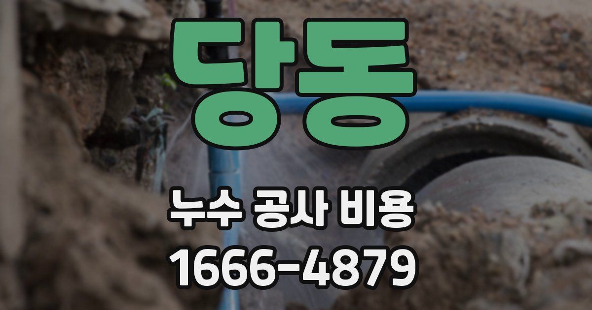 당동 누수 공사 비용