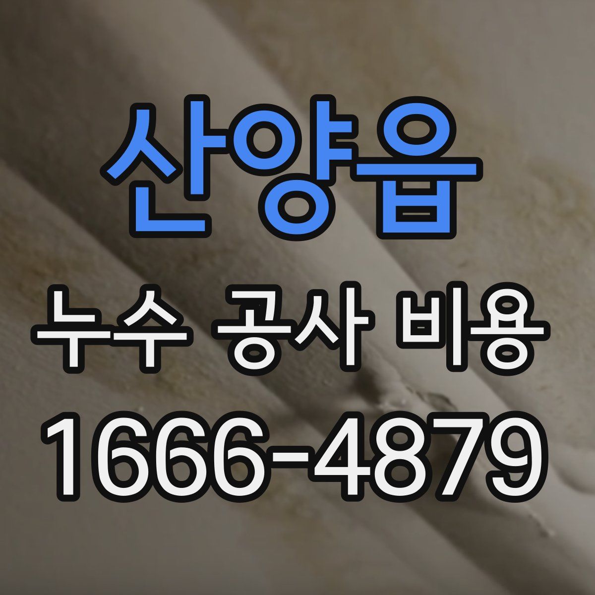 산양읍 누수 공사 비용