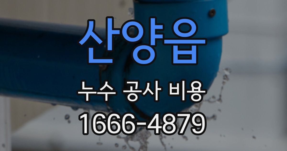 산양읍 누수 공사 비용