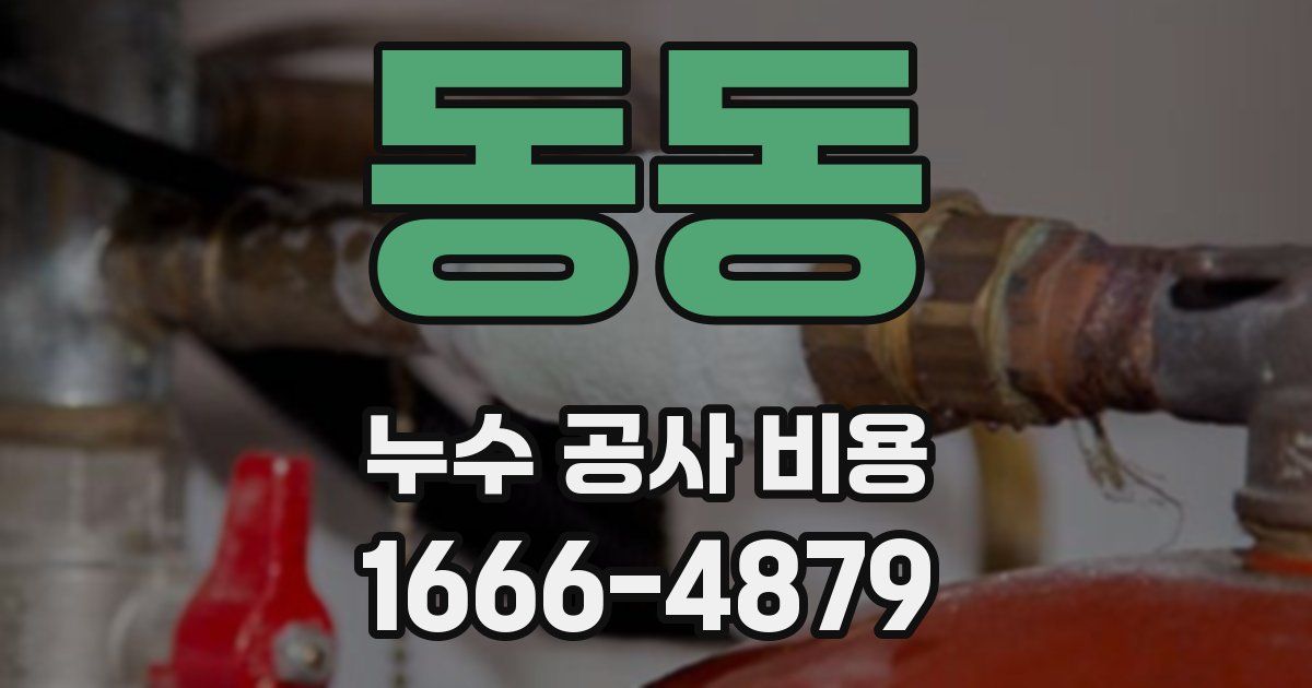 동동 누수 공사 비용