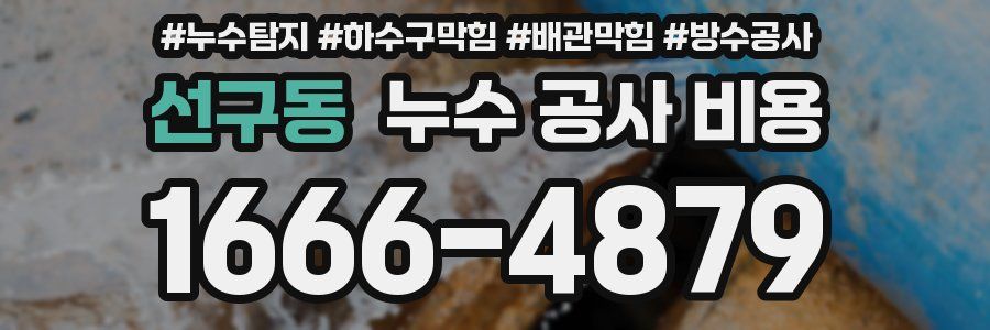 선구동 누수 공사 비용