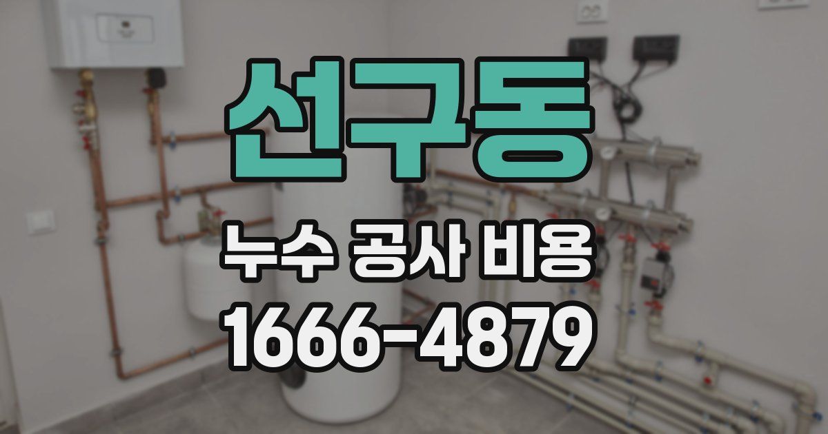 선구동 누수 공사 비용