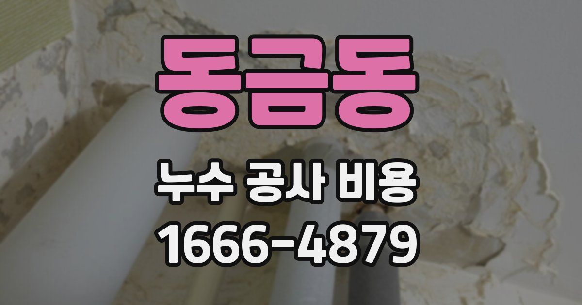 동금동 누수 공사 비용