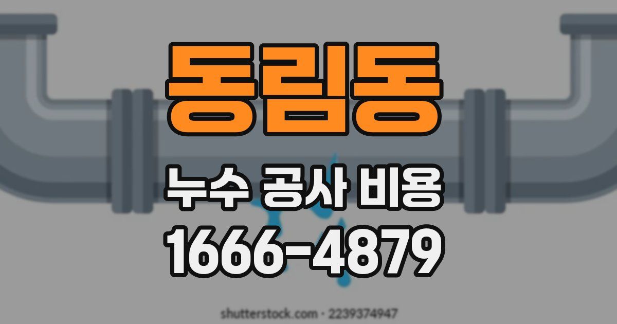 동림동 누수 공사 비용